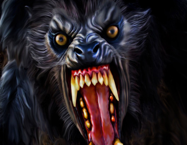 Black bear open mouth yellow free wallpaper for desktop - medium preview image