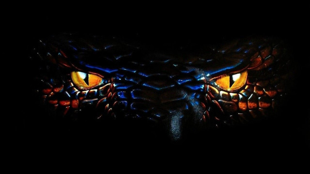 Close up yellow eyes dark free wallpaper for desktop - medium preview image