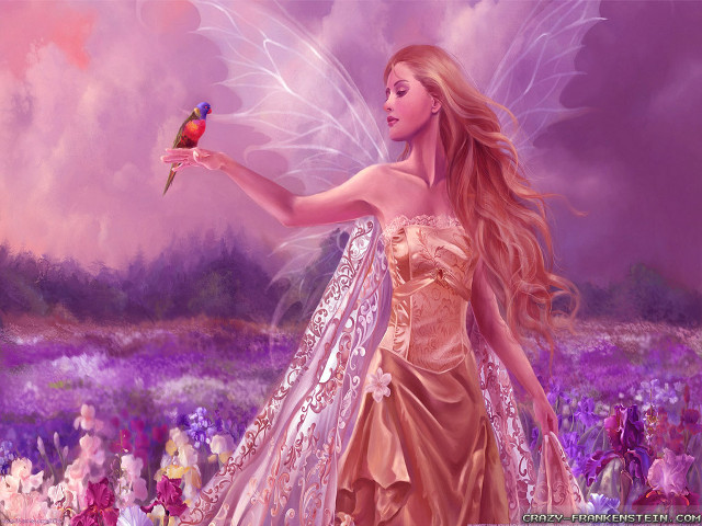 Beautiful woman dress holding bird free wallpaper for desktop - medium preview image
