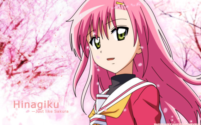 Pink haired girl anime hanami free wallpaper for desktop - medium preview image