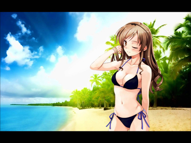 Woman bikini beach ocean palm free wallpaper for desktop - medium preview image