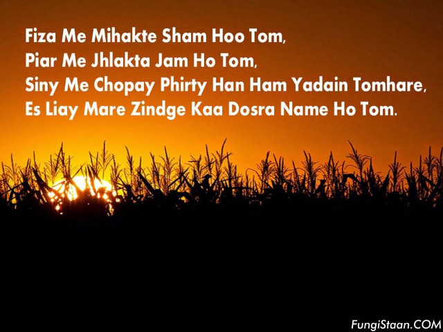 Sunset beauty peaceful colors nature free wallpaper for desktop - medium preview image