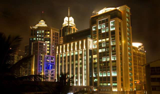 City night lights palm trees free wallpaper for desktop - medium preview image