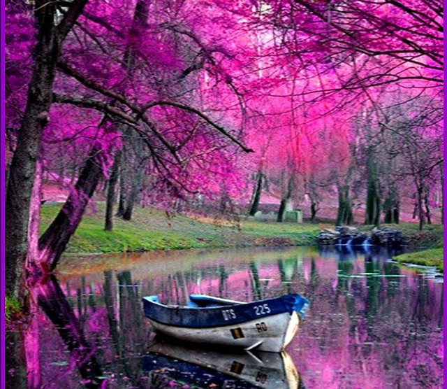 Boat water purple frame tree free wallpaper for desktop - medium preview image