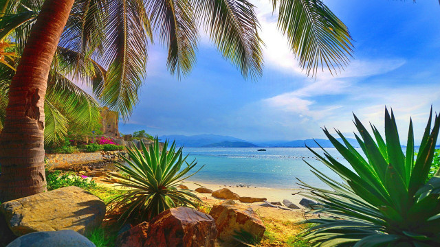 Tropical beach palm trees boat #2 free wallpaper for desktop - medium preview image