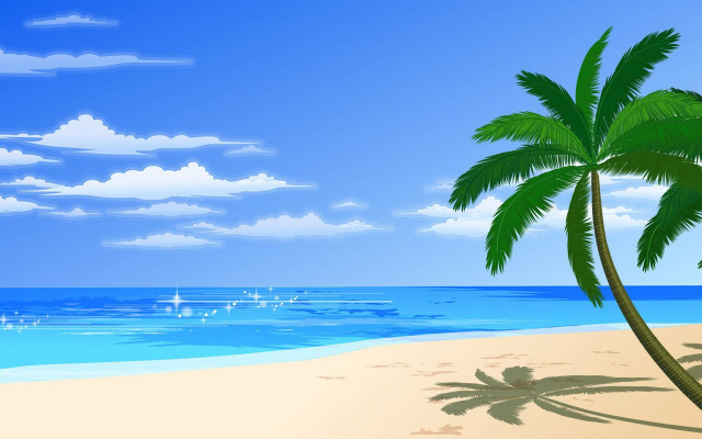 Palm tree beach blue sky #4 free wallpaper for desktop - medium preview image