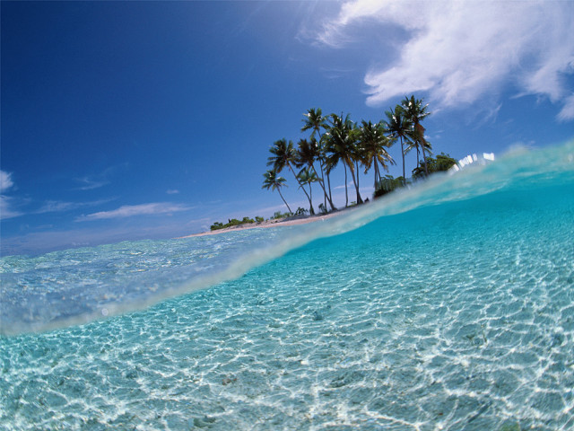 Wave beach palm trees blue #2 free wallpaper for desktop - medium preview image