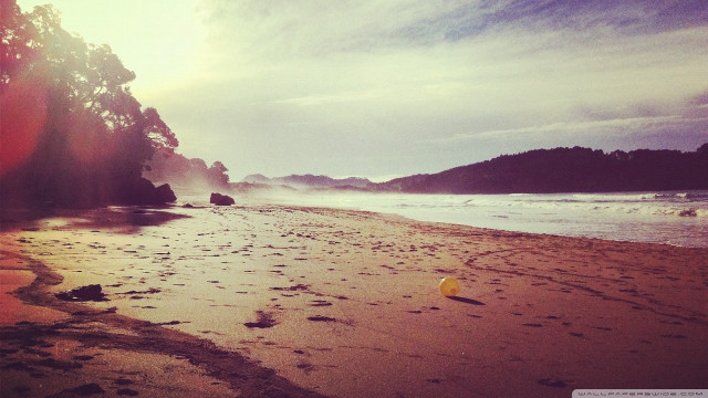 Beach yellow object tree blue free wallpaper for desktop - medium preview image