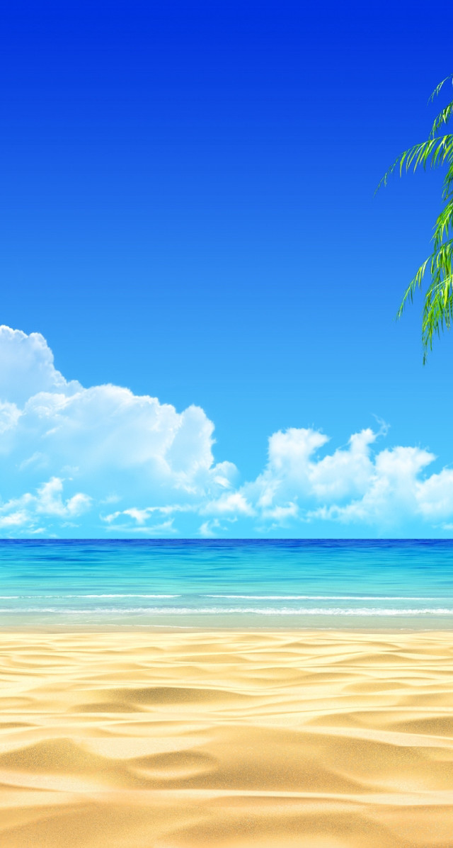 Beach palm tree blue sky free wallpaper for mobile - medium preview image