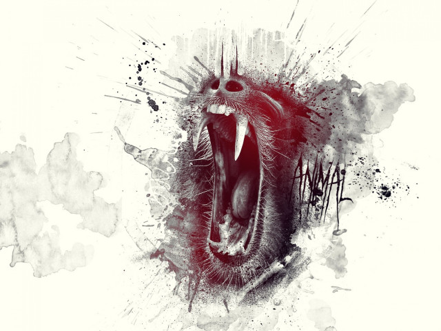 Snarling animal black white photo free wallpaper for desktop - medium preview image