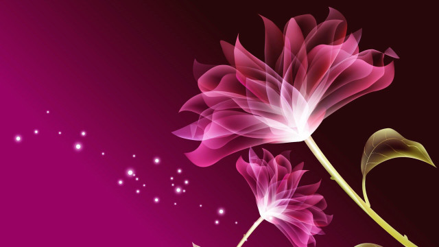 Pink flower green stem purple free wallpaper for desktop - medium preview image
