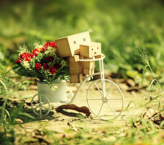 Small cart flowers boxes grass free wallpaper for tablet - medium preview image