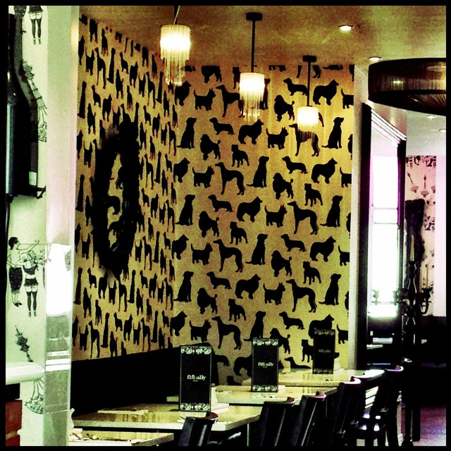 Dog pattern wall mirror clock free wallpaper for tablet - medium preview image