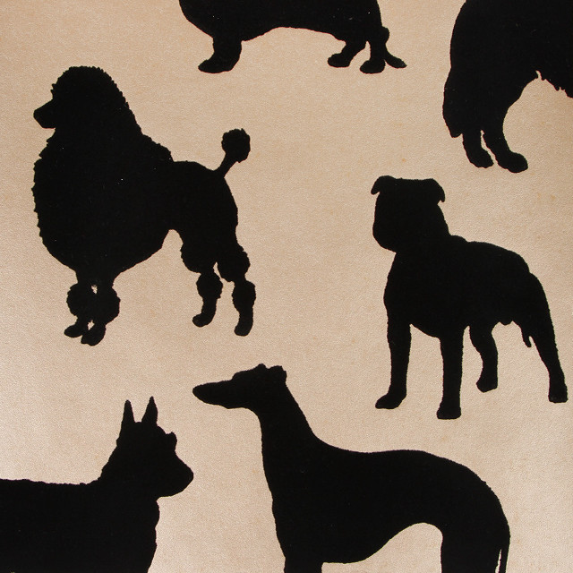 Dogs group standing dirt together free wallpaper for tablet - medium preview image