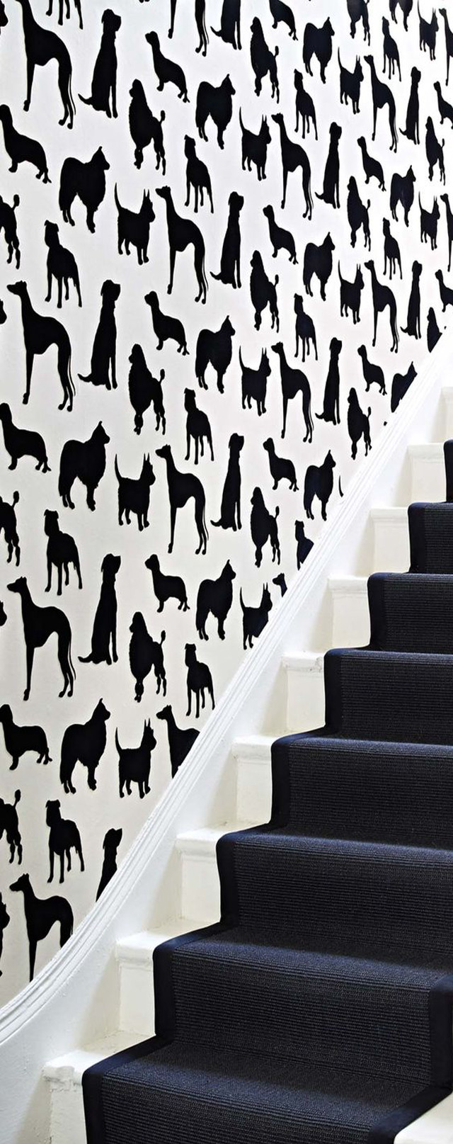 Dog wall staircase maximalism monochrome free wallpaper for mobile - medium preview image