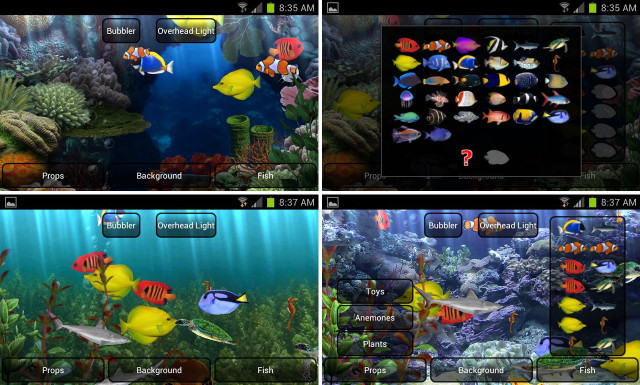 Fish sea world screens types free wallpaper for desktop - medium preview image