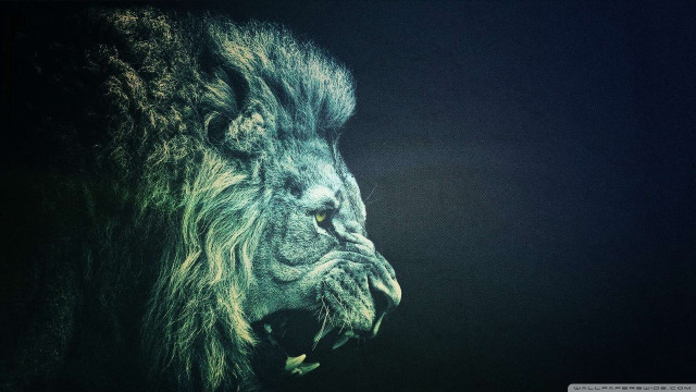 Lion mouth open dark night free wallpaper for desktop - medium preview image
