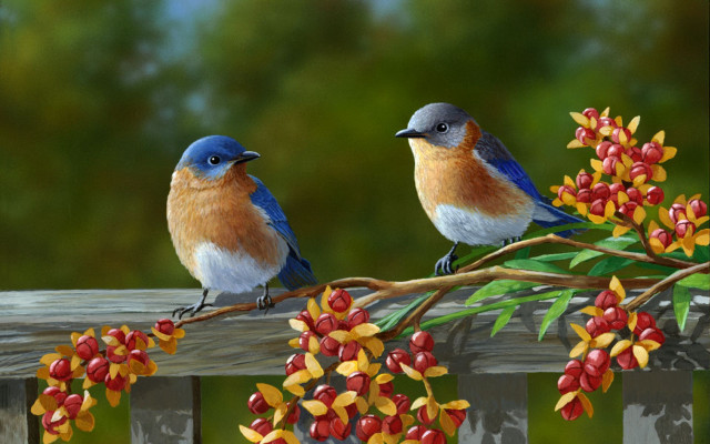 Two birds branch berries bush free wallpaper for desktop - medium preview image