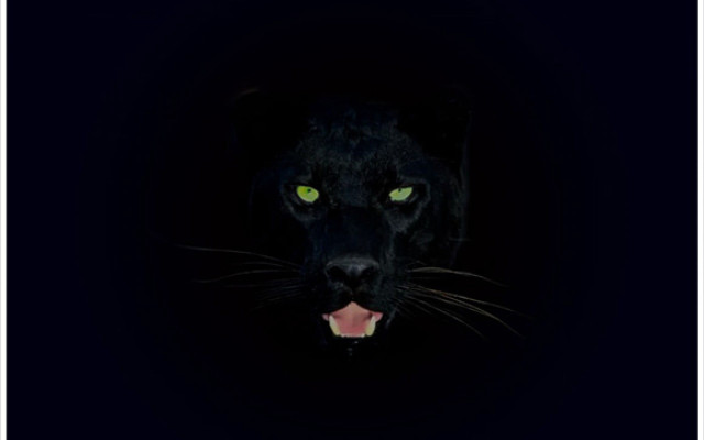 Black panther green eyes dark free wallpaper for desktop - medium preview image