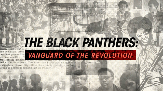 Black panthers vanguard revolution poster free wallpaper for desktop - medium preview image