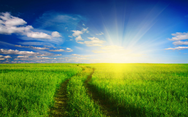 Green field dirt path sunlight free wallpaper for desktop - medium preview image