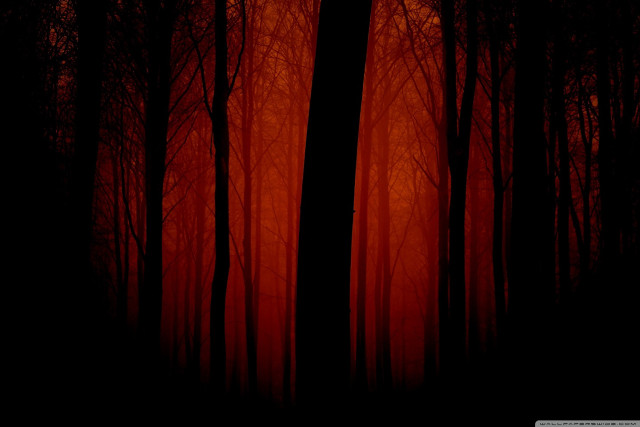 Dark forest red light trees free wallpaper for desktop - medium preview image