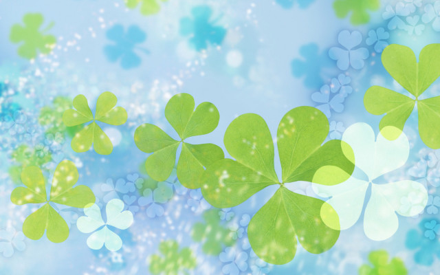 Four leaf clovers blue background free wallpaper for desktop - medium preview image