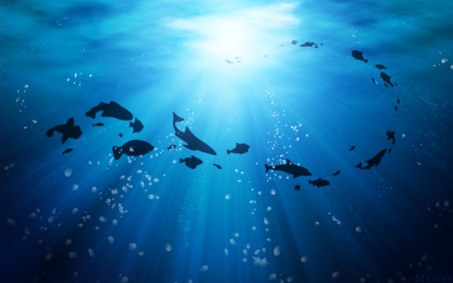 Group fish swimming ocean sunlight free wallpaper for desktop - medium preview image