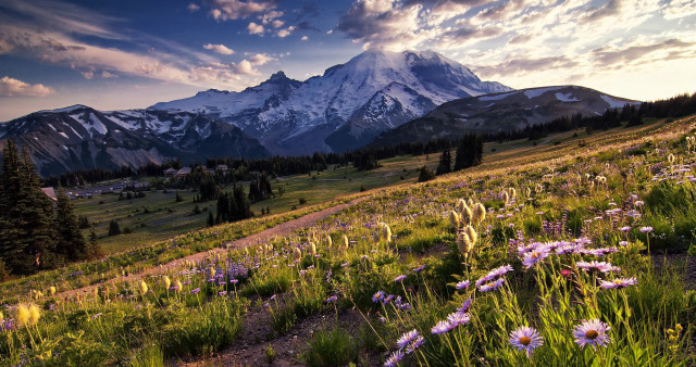 Mountain range trail wildflowers cloudy free wallpaper for desktop - medium preview image