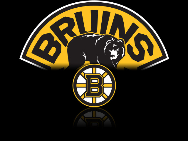 Black yellow bear logo Bruinns free wallpaper for desktop - medium preview image