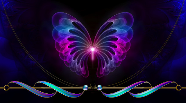 Butterfly purple blue wings black #2 free wallpaper for desktop - medium preview image