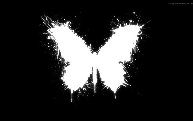 White butterfly black background white free wallpaper for desktop - medium preview image