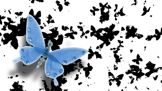 Blue butterfly water drops black free wallpaper for desktop - medium preview image