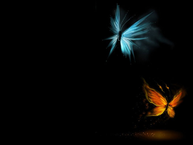 Butterfly flying dark light shining free wallpaper for desktop - medium preview image