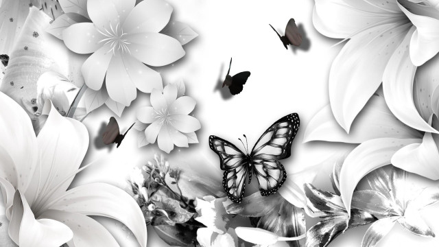 Butterfly flowers black white background #2 free wallpaper for desktop - medium preview image