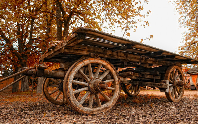 Wooden wagon autumn leaves forest free wallpaper for desktop - medium preview image