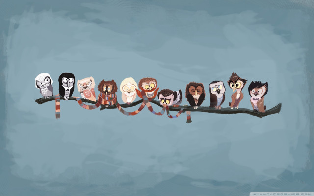 Owls branch ribbon eyes group free wallpaper for desktop - medium preview image