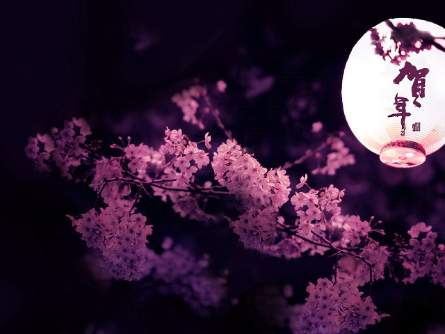 Lantern tree purple flowers dark free wallpaper for desktop - medium preview image