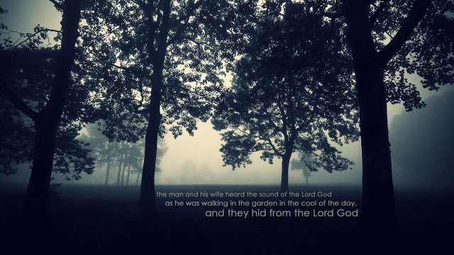 Foggy forest bible verse black free wallpaper for desktop - medium preview image