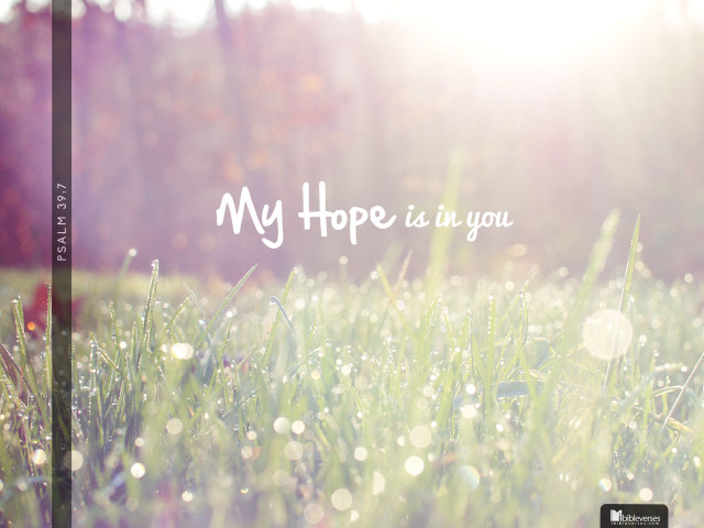 Hope in you christmas lights free wallpaper for desktop - medium preview image