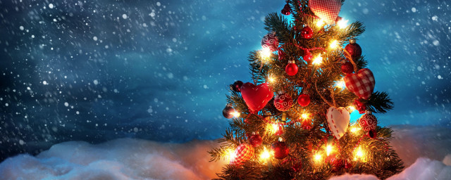 Christmas tree snow lights blue free wallpaper for desktop - medium preview image