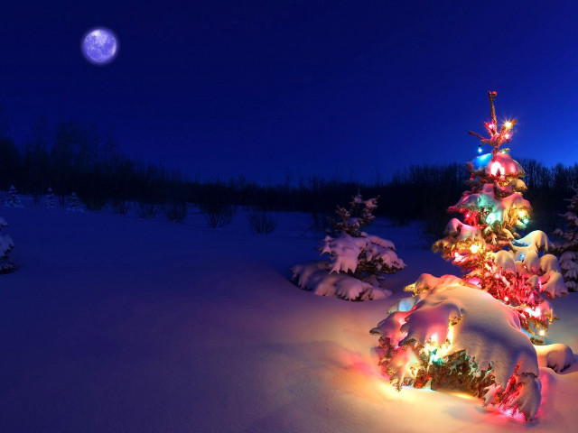 Christmas tree lit snow full free wallpaper for desktop - medium preview image