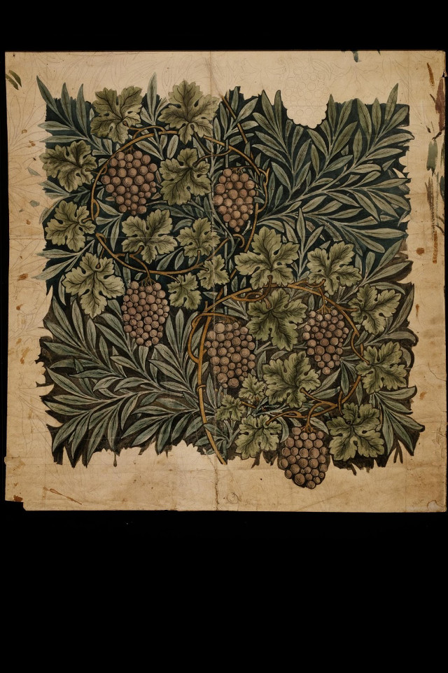 Grapes painting leaves berries paper free wallpaper for mobile - medium preview image