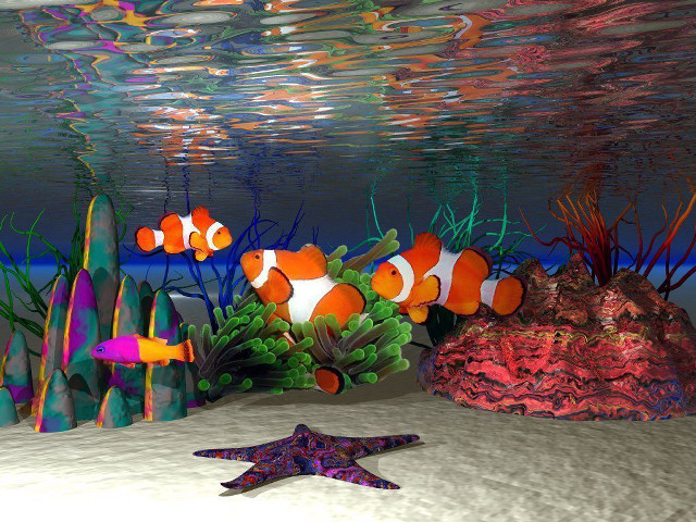 Fish starfish colorful aquarium corals free wallpaper for desktop - medium preview image