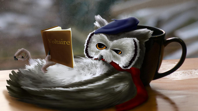 Owl reading book cup mouse free wallpaper for desktop - medium preview image