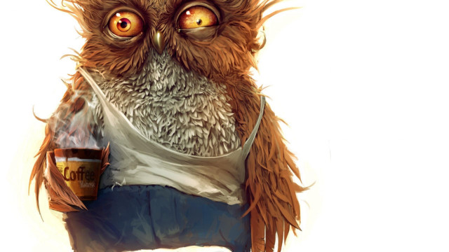 Owl coffee drawing wide open free wallpaper for desktop - medium preview image