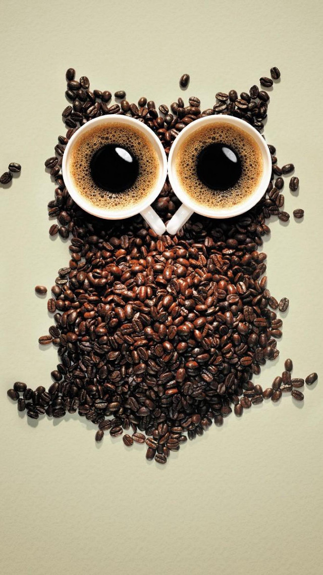 Coffee owl coffee beans eyes free wallpaper for mobile - medium preview image