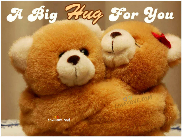 Teddy bears hugging caption image free wallpaper for desktop - medium preview image