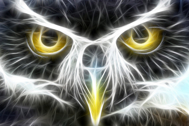Owl yellow eyes analytical airbrush free wallpaper for desktop - medium preview image