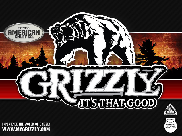 Bear sunset grizzly is that free wallpaper for desktop - medium preview image